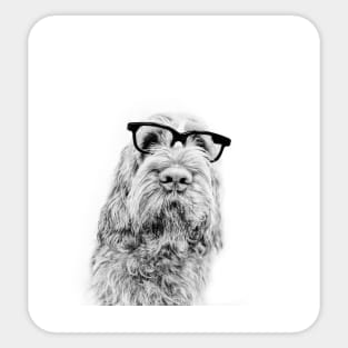 Intelligent friend Spinone by heidiannemorris Sticker